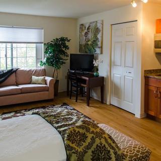 A cozy bedroom with a living area featuring a sofa and television, complemented by warm decor and natural lighting.