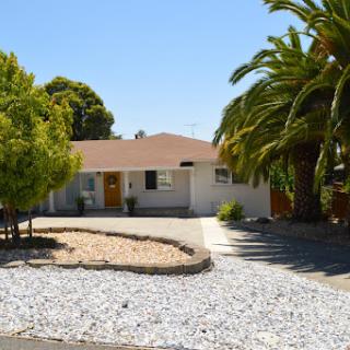A charming residential house surrounded by palm trees and a gravel driveway on a sunny day.