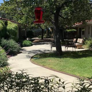 A tranquil garden with a winding pathway surrounded by lush greenery and shaded by trees, featuring a bench for relaxation.