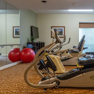 A gym with various exercise equipment including treadmills, stationary bikes, and large exercise balls.