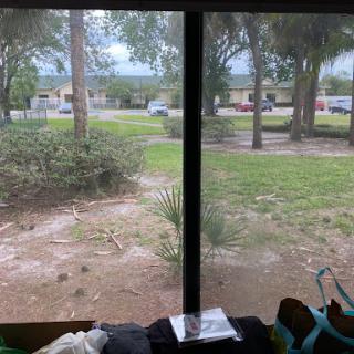 A view from a window showing greenery, trees, and parked cars in an urban setting.