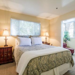 A cozy bedroom with a comfortable bed, two lamps, and window light.