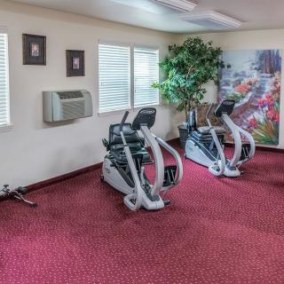 A small gym with elliptical trainers and wall art on a carpeted floor.