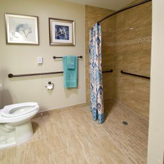 An accessible bathroom with a toilet, shower, grab bars, and decorative artwork on the wall.