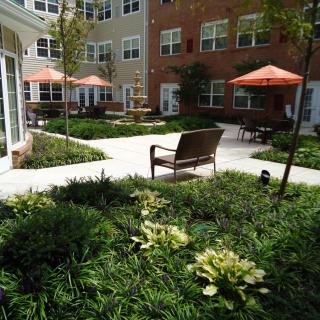 A peaceful courtyard in an apartment complex featuring benches, greenery, and orange umbrellas.