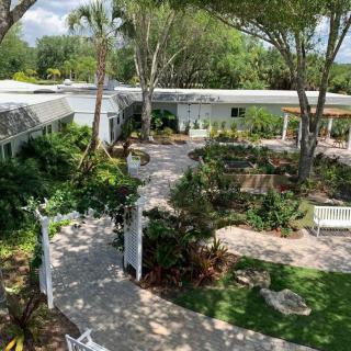 A lush garden with a pathway winding through trees and greenery, leading to a building in the background.