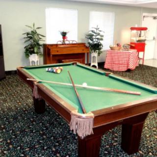 A game room featuring a billiards table with cue sticks, surrounded by plants and additional furnishings.