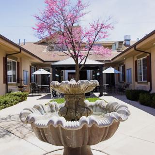 A sunny courtyard featuring a decorative fountain and a blossoming pink tree.