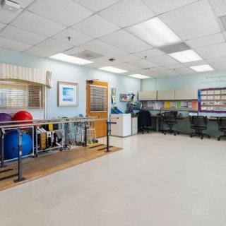 A physical therapy room equipped with exercise balls and parallel bars.