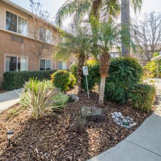 A landscaped area with palm trees and shrubs next to a building and sidewalk.