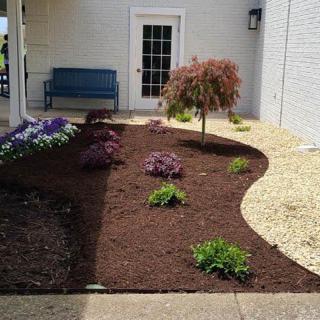 A well-maintained garden area featuring a small tree, shrubs, and a mulch-covered section beside a pebble path.