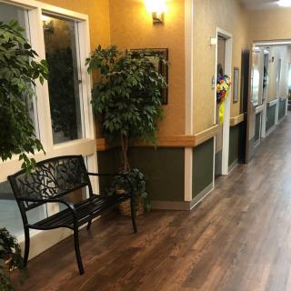A well-lit indoor hallway with a bench, plants, and windows along the wall.