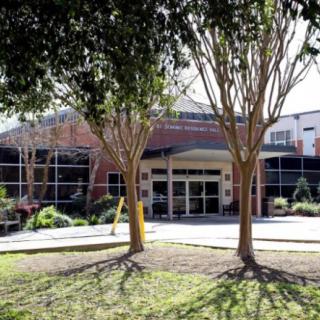 A sunny view of a building entrance surrounded by trees and landscaping.