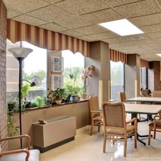 A well-lit interior space featuring seating, tables, and plenty of greenery.
