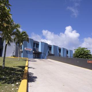 A blue building with palm trees under a partly cloudy sky.