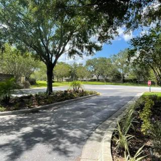 A quiet road surrounded by lush greenery and trees under a clear blue sky.