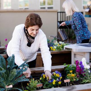 Two women tend to plants and flowers in a garden.