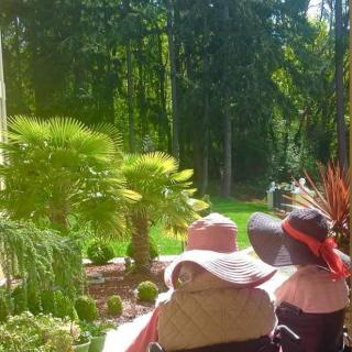 Two people in sun hats enjoying a sunny day in a lush garden.