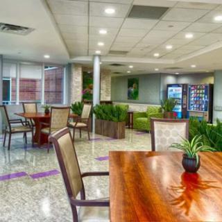 A modern lounge area with tables, chairs, and greenery.