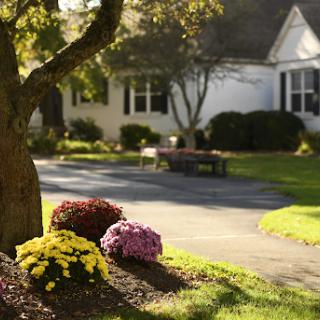 A serene garden scene with colorful flowers in bloom, showcasing a charming house in the background.