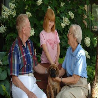 An elderly couple and a child sitting in a garden with their dog on a sunny day.