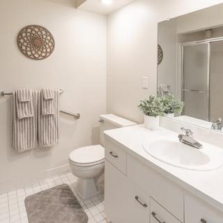 A clean and well-organized bathroom with a modern design, featuring a sink, mirror, toilet, and shower.