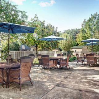 A sunny outdoor patio with tables and chairs shaded by umbrellas, surrounded by lush greenery.