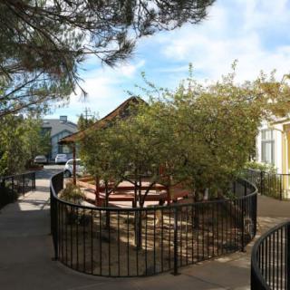 A sunny outdoor park area with picnic tables surrounded by a fence and trees.