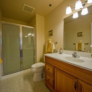 A modern bathroom with a shower, toilet, sink, and wooden cabinets.