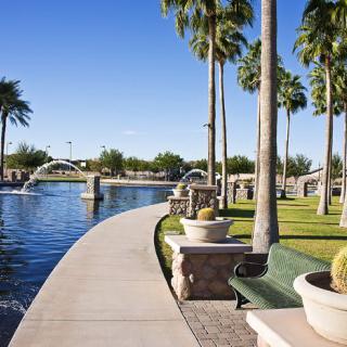 A peaceful park scene with a walkway lined by palm trees and water features, perfect for a sunny day stroll.