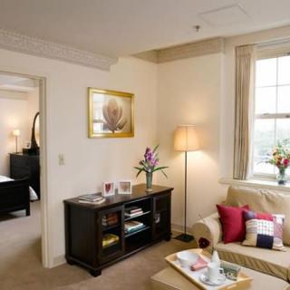 A cozy living room with tasteful decor and natural lighting.