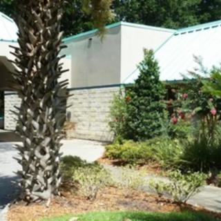 A view of a building surrounded by trees and landscaped plants.