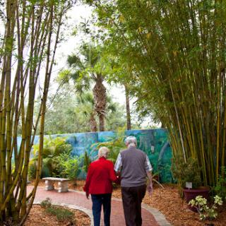 A couple strolling hand in hand through a serene bamboo garden.