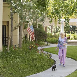 A woman walking her dog along a tree-lined sidewalk beside a building with an American flag.
