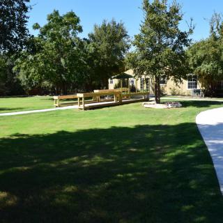 A sunny view of a house surrounded by a well-maintained lawn and trees with a pathway leading to the entrance.
