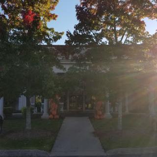 A sunlit view of a building framed by trees along a pathway.