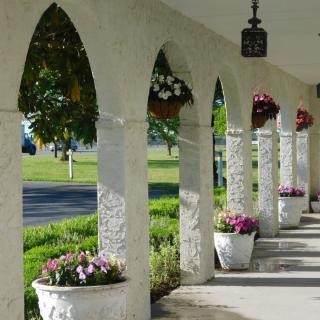 A scenic outdoor corridor with decorative arches and flower arrangements.