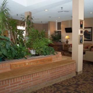 A cozy lobby area with a brick planter and lush greenery.