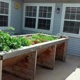A raised garden bed filled with vegetables and plants outside a house.