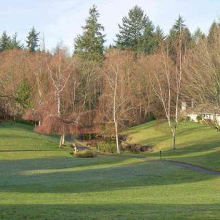 A serene view of a park with trees and lush green grass under sunlight.