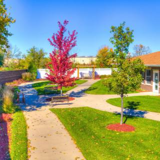 A serene garden with a pathway lined by vibrant autumn trees.