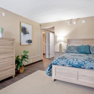 A cozy bedroom with stylish decor, featuring a bed with blue bedding, a wooden dresser, potted plant, and wall art.