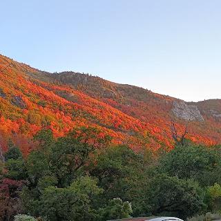 A stunning view of mountains adorned with vibrant autumn foliage.