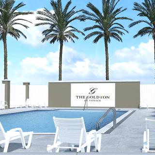 A serene outdoor swimming pool area with palm trees and lounge chairs under a sunny sky.