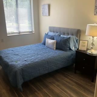 A neatly arranged bedroom with a blue bedspread and a bedside lamp.