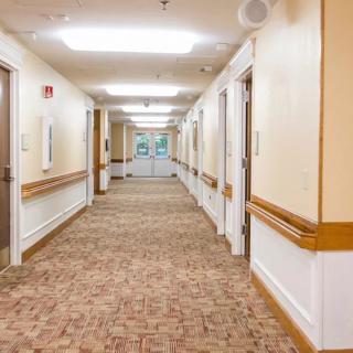 A well-lit hallway with carpeted flooring and multiple doors along the sides.