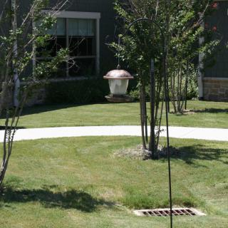 A well-maintained lawn with trees, a walkway, and a house in the background.