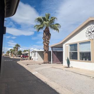 A sunny day in a quiet residential neighborhood with palm trees and clear skies.
