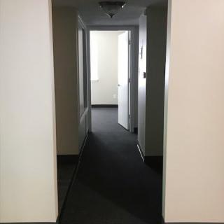 A quiet hallway with multiple doors and carpeted flooring.