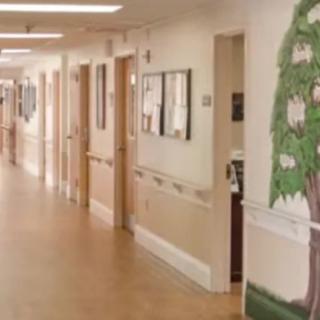 A hallway in a hospital with doors on either side and a tree mural on the wall.